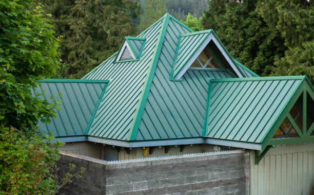 Best Roof Insulation Installation  in Citrus Park, AZ