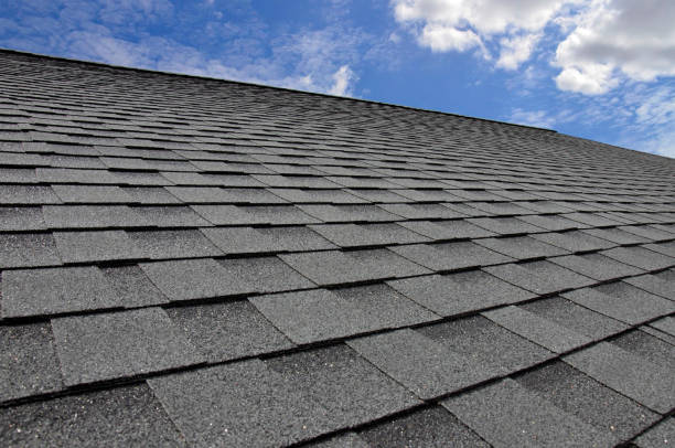 Emergency Roof Repair in Citrus Park, AZ